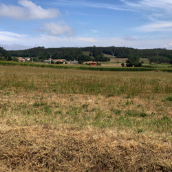 2020 Camino Santiago